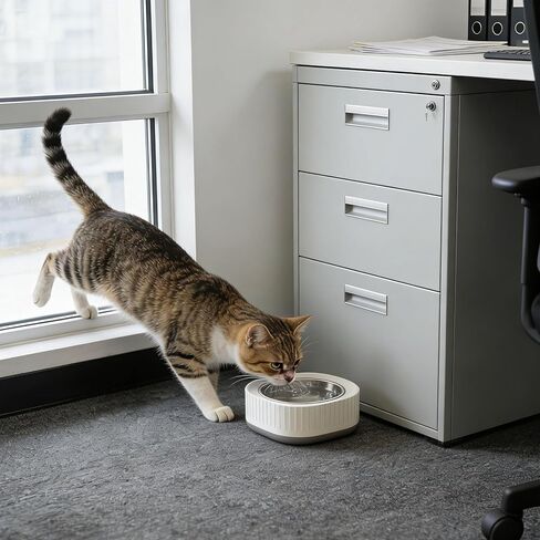Heated Pet Bowl, Heated Water Bowl for Dogs and Cats Outdoors,Thermostatic Control Pet Heated Bowl for Winter for Dogs, Cats, Chickens, Ducks, Squirrels, Rabbits, Birds, and Animals in Saudi Arabia