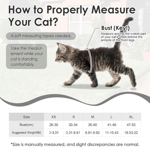 Cat Harness and Leash Set Escape Proof, Adjustable Leash & Breathable Mesh Vest with Reflective Strips & Flower, XS (XS) in Kuwait