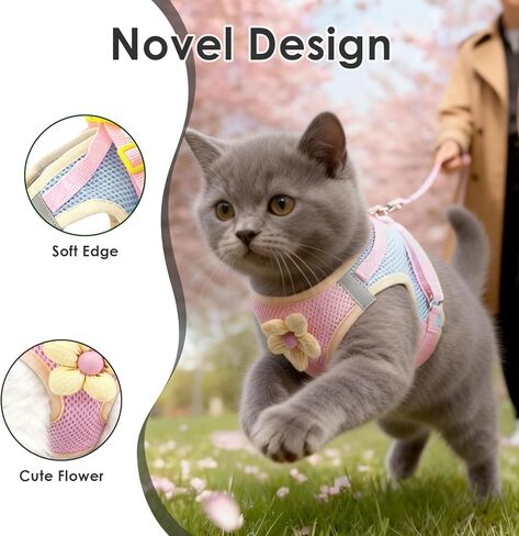 Cat Harness and Leash Set Escape Proof, Adjustable Leash & Breathable Mesh Vest with Reflective Strips & Flower, XS (XS) in Kuwait