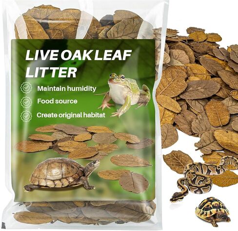 MAQIHAN 7 OZ Dry Oak Leaf Litter - Leaf Litter for Reptiles Oak Leaves for Isopods Live Substrate for Snakes, Frogs, Isopods, Terrarium Bedding in Kuwait