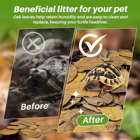 MAQIHAN 7 OZ Dry Oak Leaf Litter - Leaf Litter for Reptiles Oak Leaves for Isopods Live Substrate for Snakes, Frogs, Isopods, Terrarium Bedding in Kuwait