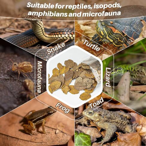 MAQIHAN 7 OZ Dry Oak Leaf Litter - Leaf Litter for Reptiles Oak Leaves for Isopods Live Substrate for Snakes, Frogs, Isopods, Terrarium Bedding in Kuwait