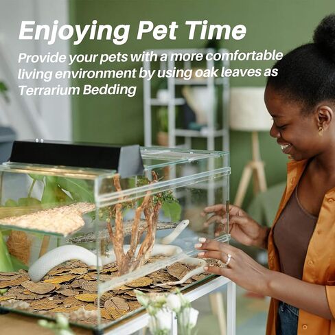 MAQIHAN 7 OZ Dry Oak Leaf Litter - Leaf Litter for Reptiles Oak Leaves for Isopods Live Substrate for Snakes, Frogs, Isopods, Terrarium Bedding in Kuwait