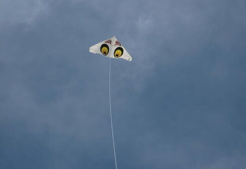 Gala Kite Sky Spy (japan import) by Blue sky in Saudi Arabia