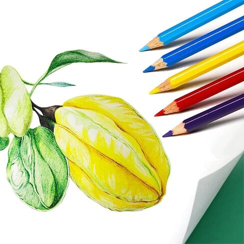 50 قطعة من أقلام الرصاص الملونة من SKKSTATIONERY، 50 لونًا نابضًا بالحياة، أقلام رسم للرسم والفنون وكتب التلوين وهدايا عيد الميلاد للعودة إلى المدرسة in Kuwait