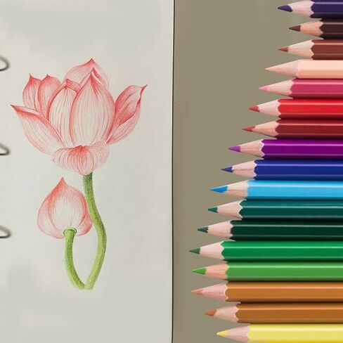 50 قطعة من أقلام الرصاص الملونة من SKKSTATIONERY، 50 لونًا نابضًا بالحياة، أقلام رسم للرسم والفنون وكتب التلوين وهدايا عيد الميلاد للعودة إلى المدرسة in Kuwait