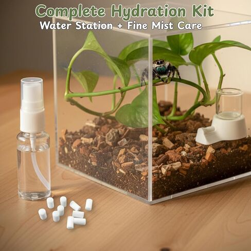 Jumping Spider Water Dispenser Enclosure Accessories, Mini Water Dispenser and Mist Bottle with 10 Replace Cotton Cores, Jumping Spider Habitat Decoration Tarantula Enclosure Accessories (White, 5 ML) in Kuwait