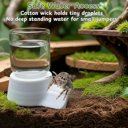 Jumping Spider Water Dispenser Enclosure Accessories, Mini Water Dispenser and Mist Bottle with 10 Replace Cotton Cores, Jumping Spider Habitat Decoration Tarantula Enclosure Accessories (White, 5 ML) in Kuwait