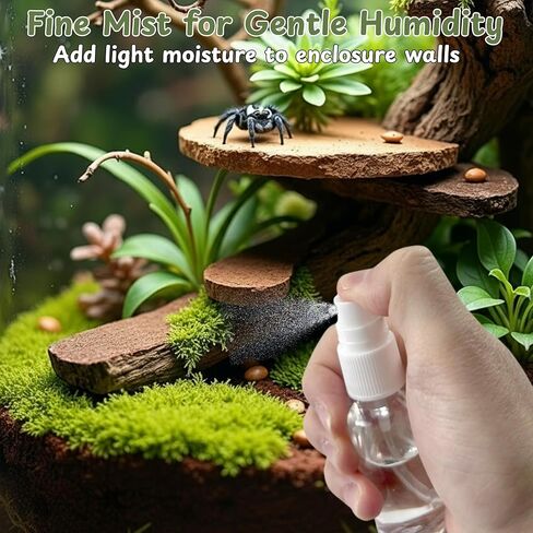 Jumping Spider Water Dispenser Enclosure Accessories, Mini Water Dispenser and Mist Bottle with 10 Replace Cotton Cores, Jumping Spider Habitat Decoration Tarantula Enclosure Accessories (White, 5 ML) in Kuwait