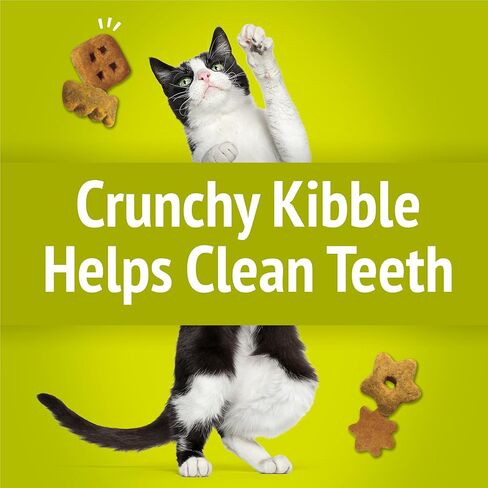 Purina Friskies Party Mix Morning Munch Crunch Egg, Bacon and Cheese Flavors Cat Treats - 30 oz Canister in Saudi Arabia