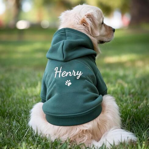 Personalized Name Dog Hoodie, Embroidery Pet Sweaters for Small Dogs, Customized Pet Clothes Warm Winter Outfit for Dogs, Bright Puppy Sweatshirt, Pets Birthday Outfit, Dog Lovers Gifts in Saudi Arabia