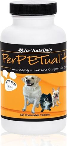Youngevity Perpetual Plus Made-for-Pets Supplement, 60 Count (Pack of 1) in Saudi Arabia