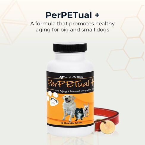 Youngevity Perpetual Plus Made-for-Pets Supplement, 60 Count (Pack of 1) in Saudi Arabia