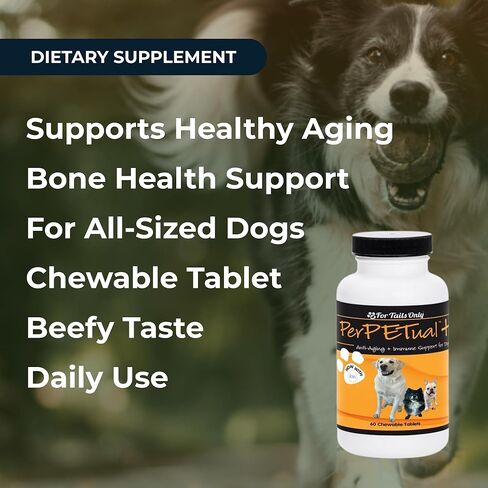 Youngevity Perpetual Plus Made-for-Pets Supplement, 60 Count (Pack of 1) in Saudi Arabia