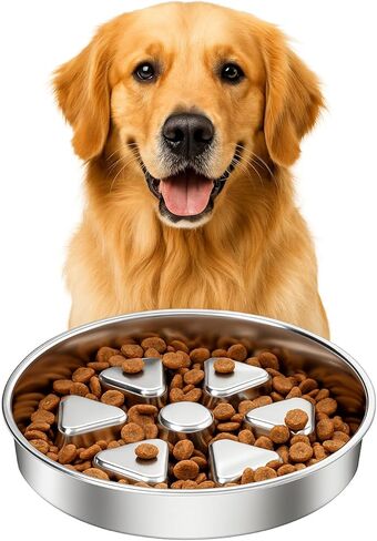 Kactoily 304 Stainless Steel Slow Feeder Dog Bowl, 2.5 Cups Non-Slip Pet Bowl, Raised Design for Slow Eating & Digestive Health - Perfect for Medium Large Dogs in Saudi Arabia
