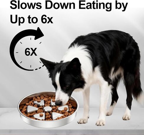Kactoily 304 Stainless Steel Slow Feeder Dog Bowl, 2.5 Cups Non-Slip Pet Bowl, Raised Design for Slow Eating & Digestive Health - Perfect for Medium Large Dogs in Saudi Arabia