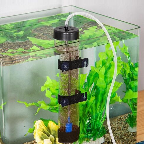 Shrimp Eggs Incubator, High Hatchability Shrimp Hatchery Kit Adjustable Versatile for Aquarium Inside in Saudi Arabia