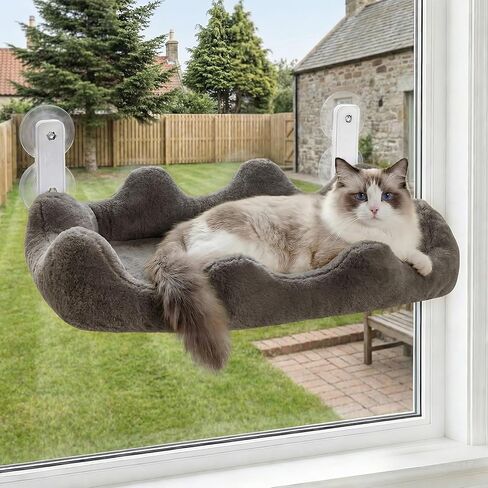 Homegroove Cat Window Perch, 24 x 12 Inch Foldable Cat Hammock for Window with 4-Sided Bolster & 4 Large Suction, Cloud Shape Cordless Window Bed for Indoor Cats (White, Large(24'' x 12'')) in Saudi Arabia