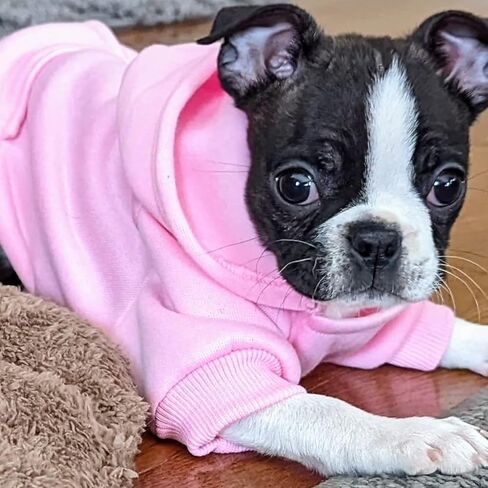Winter Dog Hoodie Sweatshirts with Pockets and Hat Warm Dog Clothes for Small Dogs Coat Clothing Puppy Cat Custume (Medium Pink) in Saudi Arabia