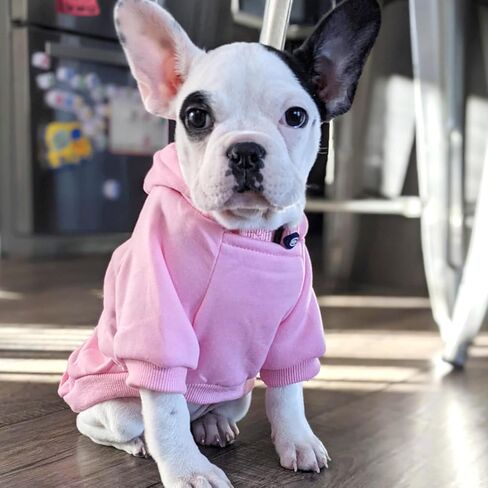 Winter Dog Hoodie Sweatshirts with Pockets and Hat Warm Dog Clothes for Small Dogs Coat Clothing Puppy Cat Custume (Medium Pink) in Saudi Arabia