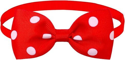Polka-dot bow tie collar in Saudi Arabia