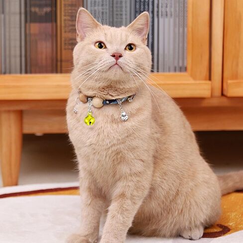 10 Pcs Cat Collar Bell Pet Bells for Cat Dog, Colourful Pet Small Bells with Clasps Pet Collar Accessories for Collars in Saudi Arabia