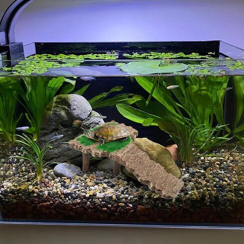 Reptile Ramp - 8x14x4.5cm Turtle Ramps | Turtle Basking | Reptile Ramp Turtles Tank Accessories | Non-Slip Dock Climbing Ladder Reptiles Resting Habitat for Tortoise Lizard Bearded Dragon Te in Saudi Arabia
