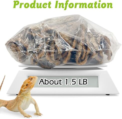 Reptile Cork Bark with Reptile Climbing Decor Thick Wood Branches Snake Habitat Decorations Terrarium Wooden Tree Trunk Ornament in Saudi Arabia