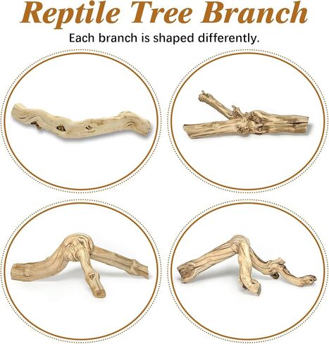 Reptile Cork Bark with Reptile Climbing Decor Thick Wood Branches Snake Habitat Decorations Terrarium Wooden Tree Trunk Ornament in Saudi Arabia