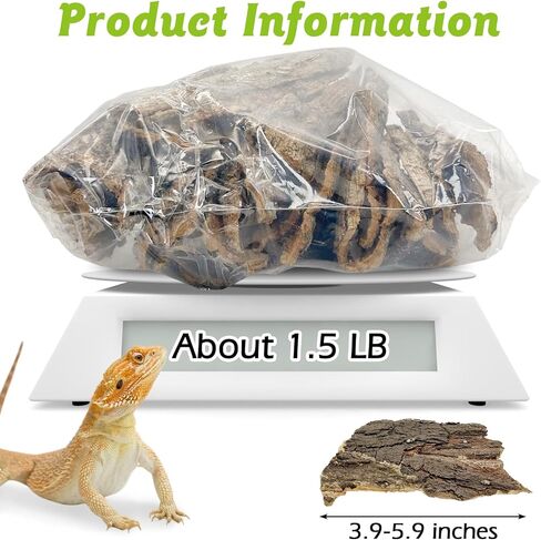 Reptile Cork Bark with Reptile Climbing Decor Thick Wood Branches Snake Habitat Decorations Terrarium Wooden Tree Trunk Ornament in Saudi Arabia