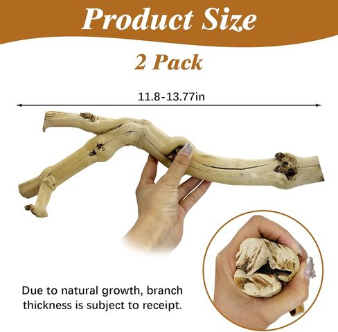 Reptile Cork Bark with Reptile Climbing Decor Thick Wood Branches Snake Habitat Decorations Terrarium Wooden Tree Trunk Ornament in Saudi Arabia