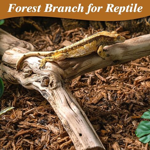 Reptile Cork Bark with Reptile Climbing Decor Thick Wood Branches Snake Habitat Decorations Terrarium Wooden Tree Trunk Ornament in Saudi Arabia