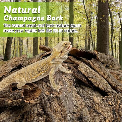 Reptile Cork Bark with Reptile Climbing Decor Thick Wood Branches Snake Habitat Decorations Terrarium Wooden Tree Trunk Ornament in Saudi Arabia