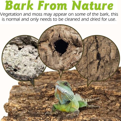 Reptile Cork Bark with Reptile Climbing Decor Thick Wood Branches Snake Habitat Decorations Terrarium Wooden Tree Trunk Ornament in Saudi Arabia