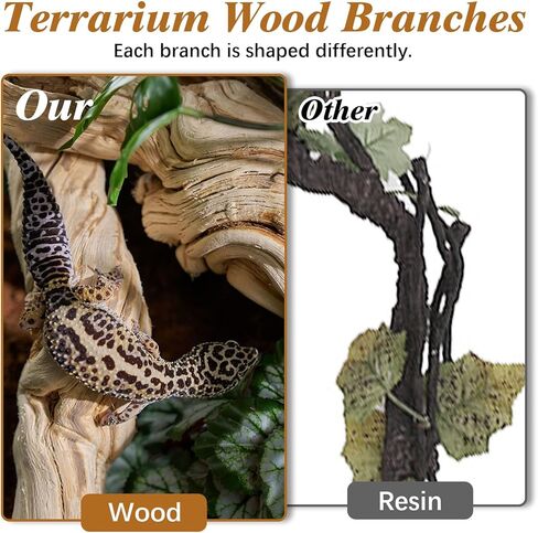 Reptile Cork Bark with Reptile Climbing Decor Thick Wood Branches Snake Habitat Decorations Terrarium Wooden Tree Trunk Ornament in Saudi Arabia