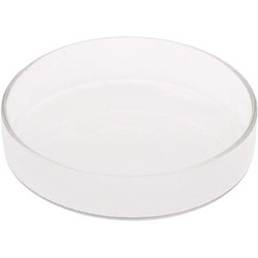 Aquarium Fish Tank Shrimp Feeding Food Dish Bowl Feeder Tray Container Glass Shrimp Feeding Dish for Shrimp Food (9cm/3.54in) in Saudi Arabia