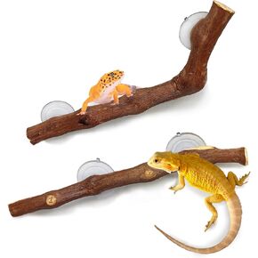BNOSDM Reptile Natural Forest Branch Decor,Snake Climbing Branch with Suction Cup,Leopard Geckos Climb Wood Plant Tank Habitat Ornament for Lizards,Chameleon,Bearded Dragon,Spider in Kuwait