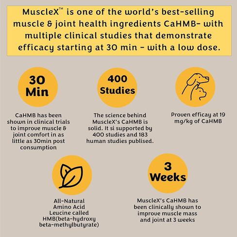 تركيبة العضلات للكلاب من MuscleX™ مع CaHMB 500 مجم وفيتامين D3 - تركيبة طبيعية لبناء العضلات - تساعد على تقليل فقدان العضلات بسبب الشيخوخة الطبيعية وتحسين التعافي من الإصابة (180 كبسولة) in Kuwait