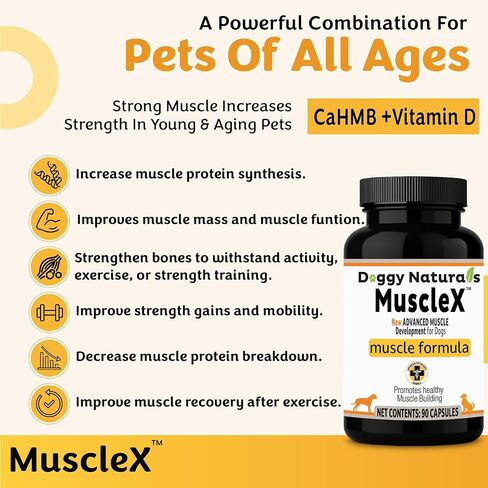 تركيبة العضلات للكلاب من MuscleX™ مع CaHMB 500 مجم وفيتامين D3 - تركيبة طبيعية لبناء العضلات - تساعد على تقليل فقدان العضلات بسبب الشيخوخة الطبيعية وتحسين التعافي من الإصابة (180 كبسولة) in Kuwait