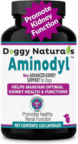 مكمل دعم الكلى Aminodyl™ 1100 مجم للكلاب - يدعم وظيفة الكلى الطبيعية بالأحماض الأمينية ويعزز بشكل كبير صحة ورفاهية وحيوية الكلى 120 كبسولة رش. صُنع في الولايات المتحدة الأمريكية in Kuwait