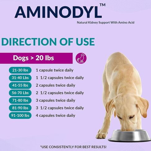 مكمل دعم الكلى Aminodyl™ 1100 مجم للكلاب - يدعم وظيفة الكلى الطبيعية بالأحماض الأمينية ويعزز بشكل كبير صحة ورفاهية وحيوية الكلى 120 كبسولة رش. صُنع في الولايات المتحدة الأمريكية in Kuwait