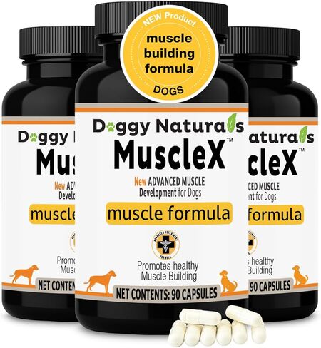 تركيبة العضلات للكلاب من MuscleX™ مع CaHMB 500 مجم وفيتامين د3 - ​​تركيبة طبيعية لبناء العضلات - تساعد على تقليل فقدان العضلات بسبب الشيخوخة الطبيعية وتحسين التعافي من الإصابة (270 كبسولة) in Kuwait