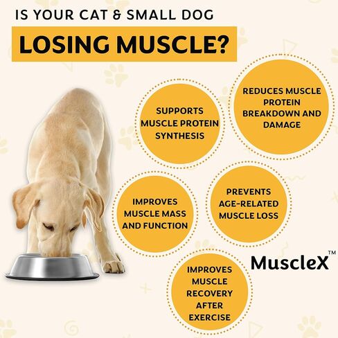 تركيبة العضلات للكلاب من MuscleX™ مع CaHMB 500 مجم وفيتامين د3 - ​​تركيبة طبيعية لبناء العضلات - تساعد على تقليل فقدان العضلات بسبب الشيخوخة الطبيعية وتحسين التعافي من الإصابة (270 كبسولة) in Kuwait