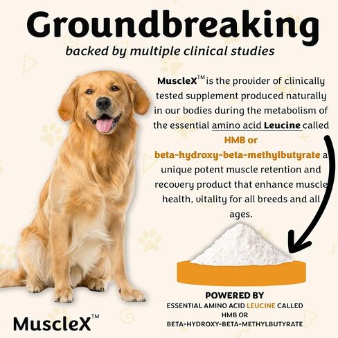 تركيبة العضلات للكلاب من MuscleX™ مع CaHMB 500 مجم وفيتامين د3 - ​​تركيبة طبيعية لبناء العضلات - تساعد على تقليل فقدان العضلات بسبب الشيخوخة الطبيعية وتحسين التعافي من الإصابة (270 كبسولة) in Kuwait