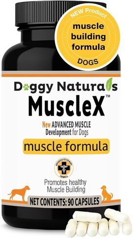 تركيبة العضلات للكلاب من MuscleX™ مع CaHMB 500 مجم وفيتامين D3 - تركيبة طبيعية لبناء العضلات - تساعد على تقليل فقدان العضلات بسبب الشيخوخة الطبيعية وتحسين التعافي من الإصابة (90 كبسولة) in Kuwait