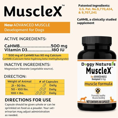 تركيبة العضلات للكلاب من MuscleX™ مع CaHMB 500 مجم وفيتامين D3 - تركيبة طبيعية لبناء العضلات - تساعد على تقليل فقدان العضلات بسبب الشيخوخة الطبيعية وتحسين التعافي من الإصابة (90 كبسولة) in Kuwait