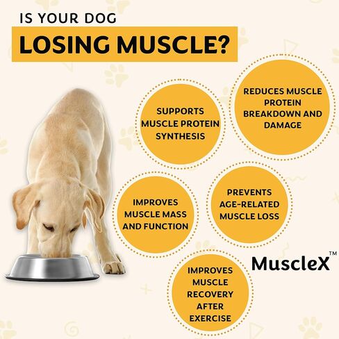 تركيبة العضلات للكلاب من MuscleX™ مع CaHMB 500 مجم وفيتامين D3 - تركيبة طبيعية لبناء العضلات - تساعد على تقليل فقدان العضلات بسبب الشيخوخة الطبيعية وتحسين التعافي من الإصابة (90 كبسولة) in Kuwait