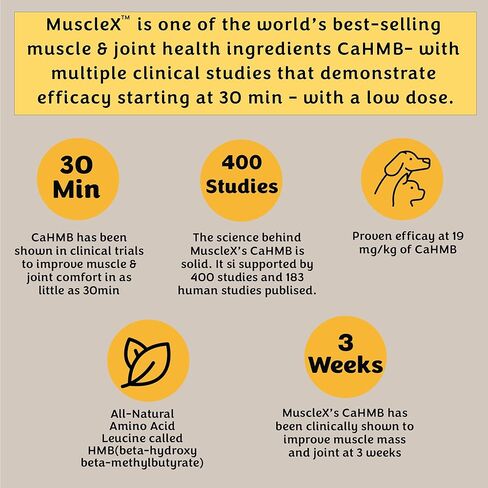 تركيبة العضلات للكلاب من MuscleX™ مع CaHMB 500 مجم وفيتامين D3 - تركيبة طبيعية لبناء العضلات - تساعد على تقليل فقدان العضلات بسبب الشيخوخة الطبيعية وتحسين التعافي من الإصابة (90 كبسولة) in Kuwait