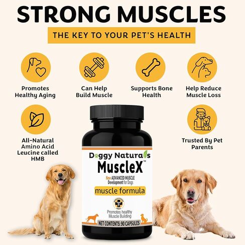 تركيبة العضلات للكلاب من MuscleX™ مع CaHMB 500 مجم وفيتامين D3 - تركيبة طبيعية لبناء العضلات - تساعد على تقليل فقدان العضلات بسبب الشيخوخة الطبيعية وتحسين التعافي من الإصابة (90 كبسولة) in Kuwait