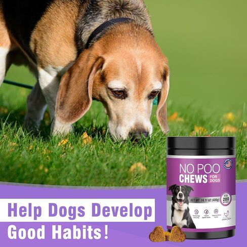 200 قطعة مضغ بدون براز - لا يوجد رادع لتناول البراز للكلاب - رادع كوبروفاجيا للكلاب - يمنع الكلاب من تناول مكملات البراز مع الإنزيمات الهاضمة والبروبيوتيك - معطر التنفس - نكهة الدجاج in Kuwait